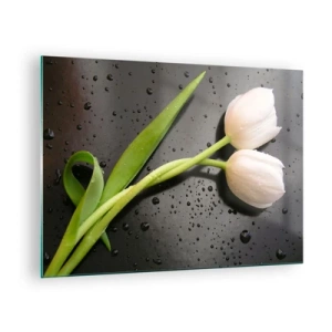 Glasbild - Bild auf glas - Weiße Tulpen auf einem Hintergrund mit Wassertropfen - 70x50cm - Frühlingsgewebe - Moderne Wanddekoration für Wohnzimmer und Schlafzimmer ARTTOR