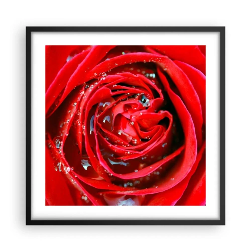 Poster in einem schwarzem Rahmen - In den Tautropfen - 50x50 cm
