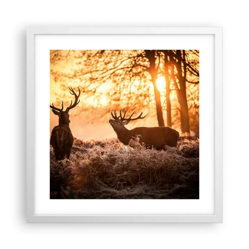 Poster in einem weißen Rahmen - Der Traum eines Jägers - 40x40 cm