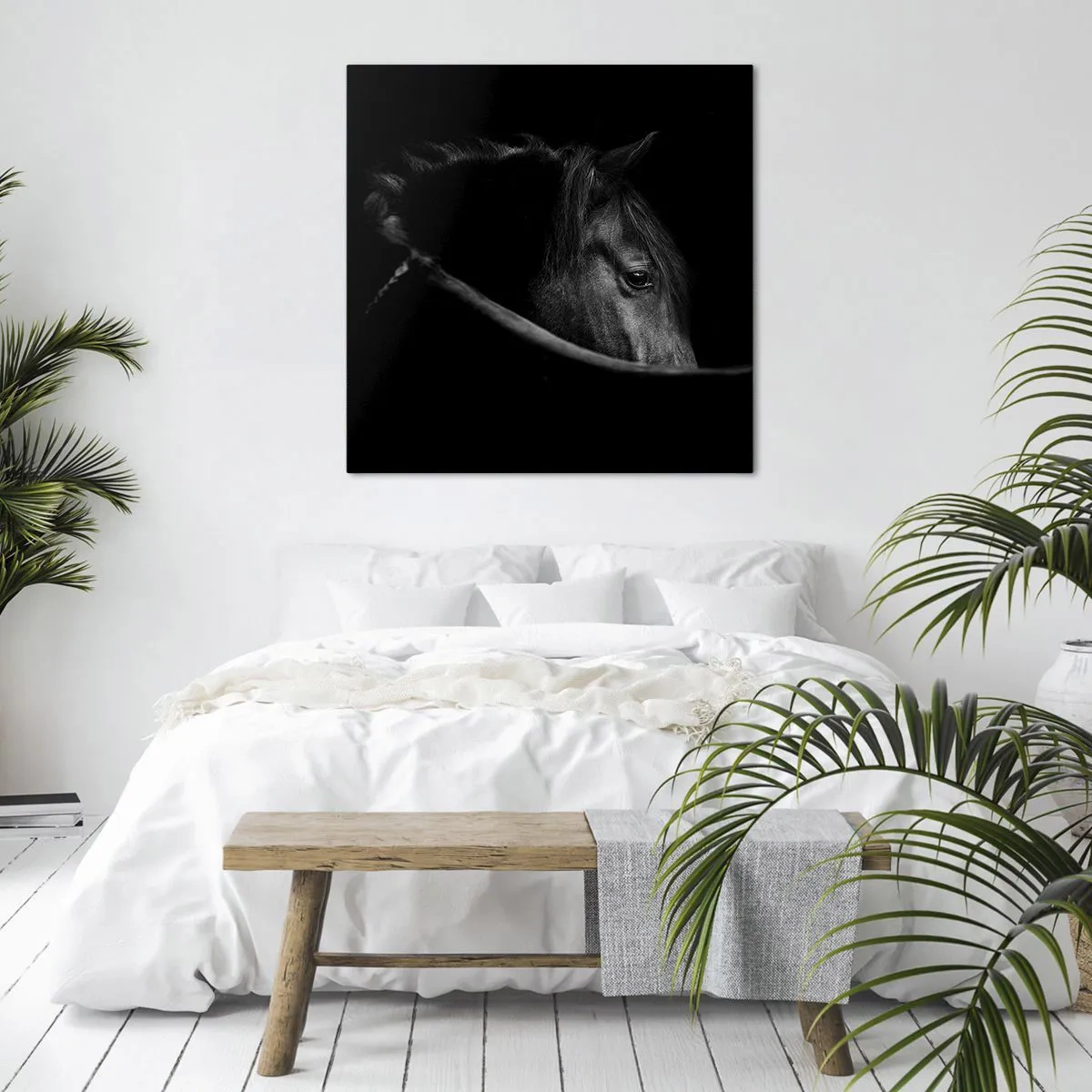 Bild auf Leinwand - Leinwandbild - Schwarzer Prinz - 70x70 cm