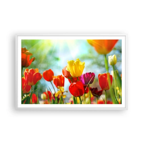 Poster in einem weißen Rahmen - Alle Farben der Sonne - 91x61 cm