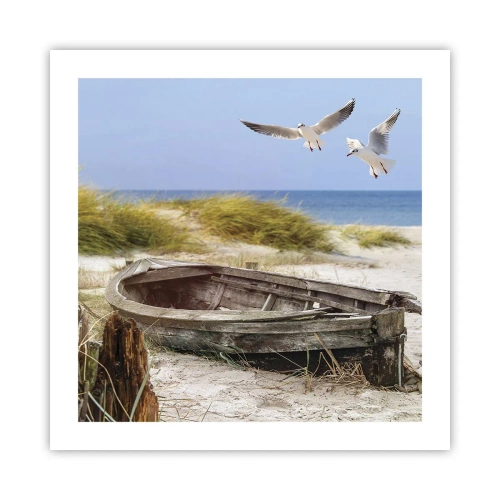 Poster - In Wind gebadet - 50x50 cm