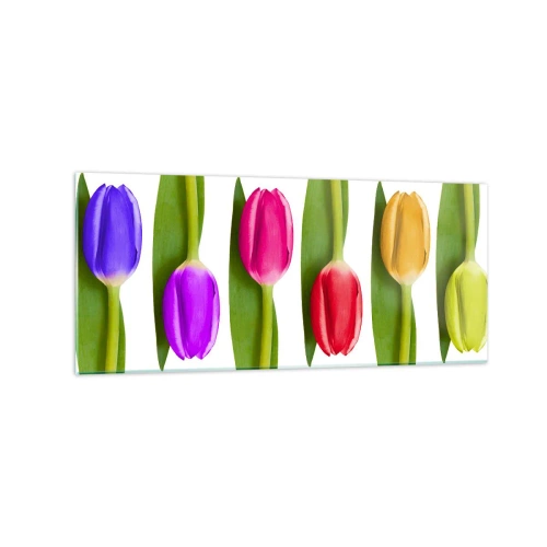 Glasbild - Bild auf glas - Bunte Tulpen in einer Reihe auf weißem Hintergrund angeordnet - 120x50cm - Regenbogenkomposition - Moderne Wanddekoration für Wohnzimmer und Schlafzimmer ARTTOR
