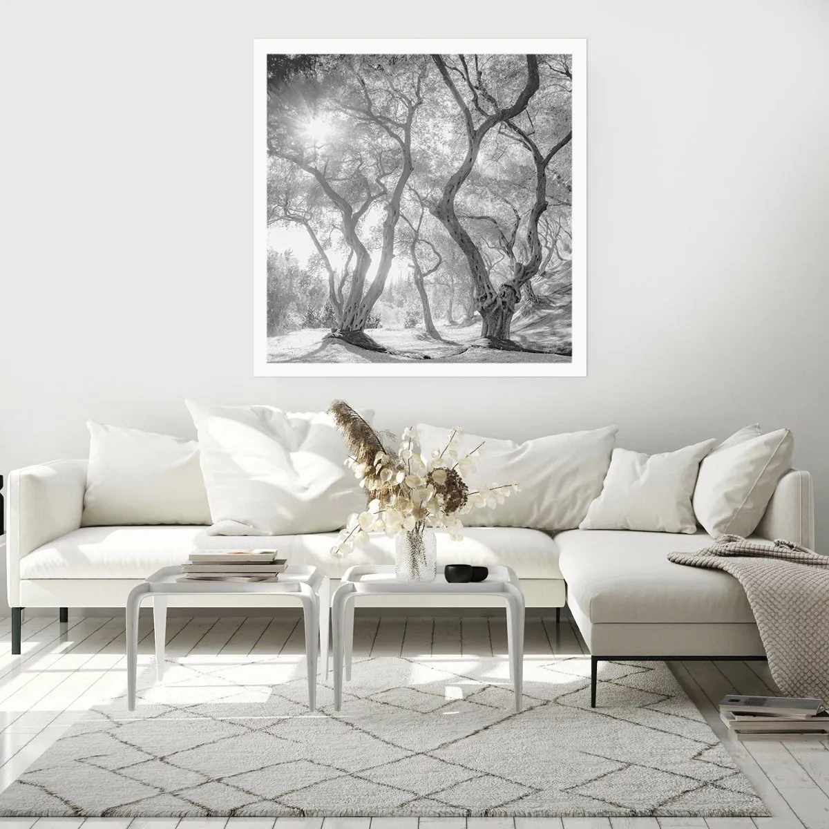 Poster - Im Olivenhain - 40x40 cm