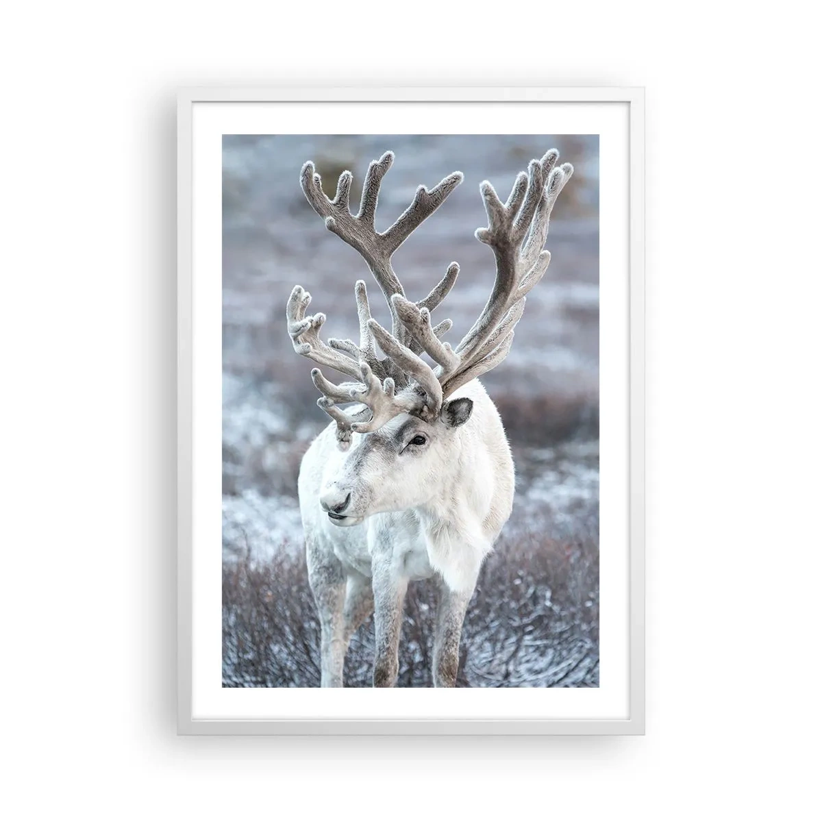 Poster in einem weißen Rahmen - Porträt in der Sonne - 50x70 cm