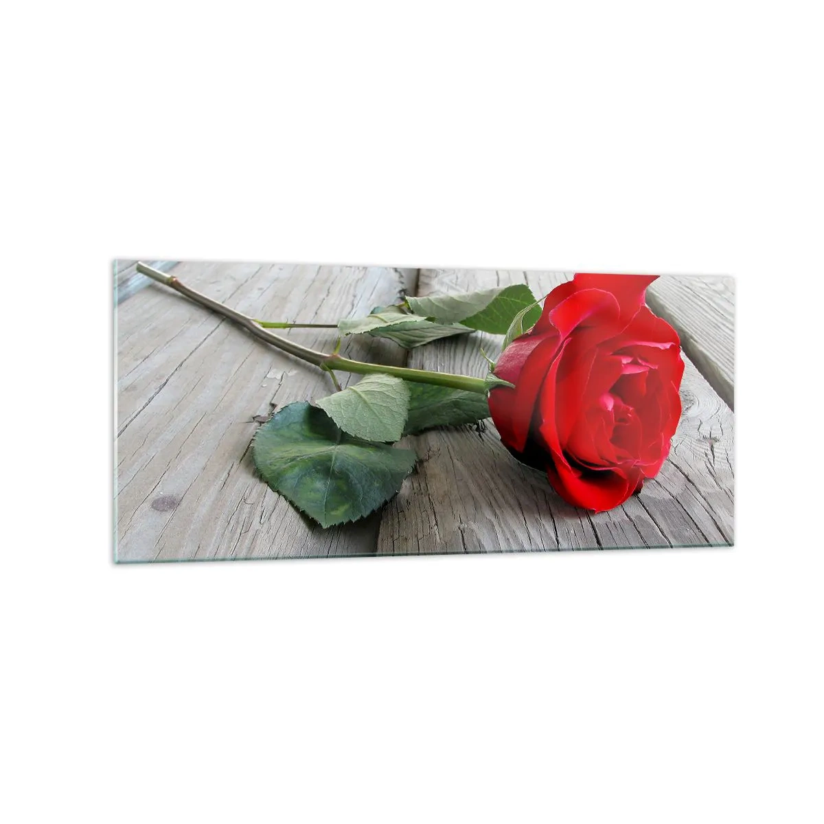 Glasbild - Bild auf glas - Rote Rose auf einem hölzernen Hintergrund - 120x50cm - Eine Studie in Scharlachrot - Moderne Wanddekoration für Wohnzimmer und Schlafzimmer ARTTOR