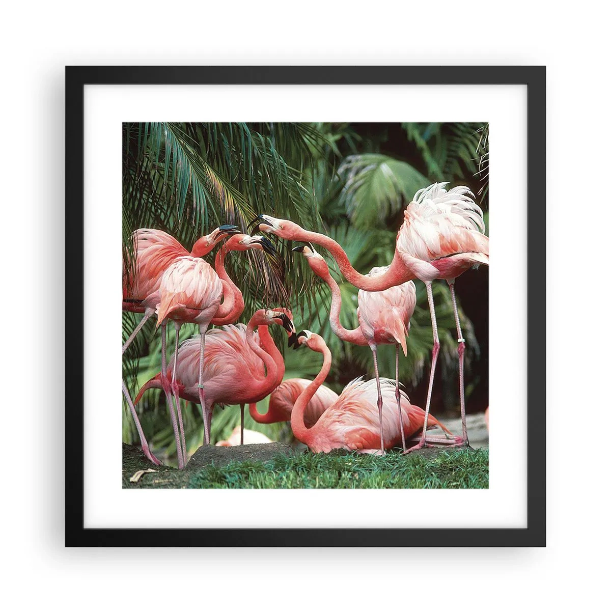 Poster in einem schwarzem Rahmen - Nachmittagsklatsch - 40x40 cm