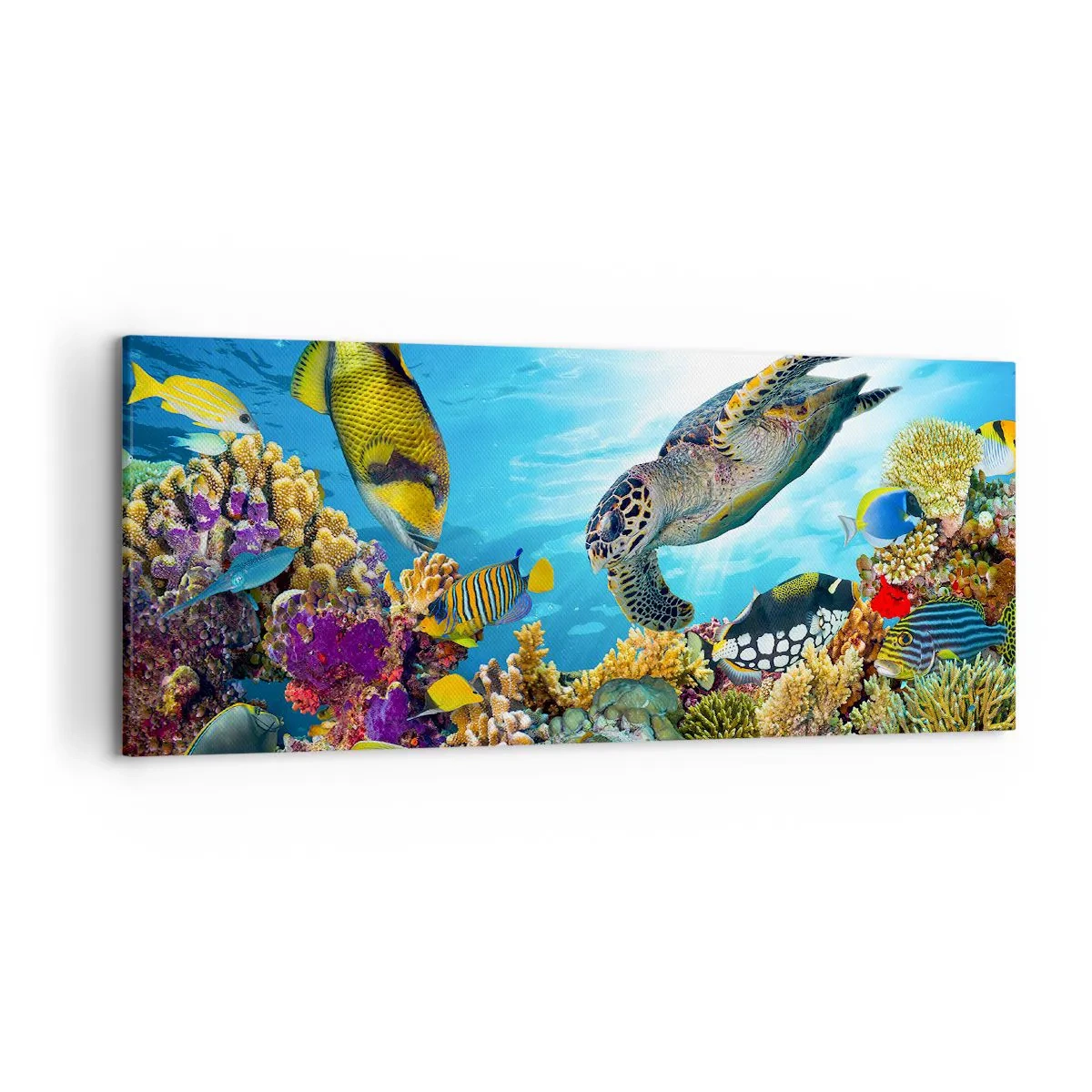 Bild auf Leinwand - Leinwandbild - Unterwasserwelt mit bunten Fischen und einer Schildkröte in den Korallen - 120x50cm - Korallenpromenade - Moderne Wanddekoration für Wohnzimmer und Schlafzimmer ARTTOR