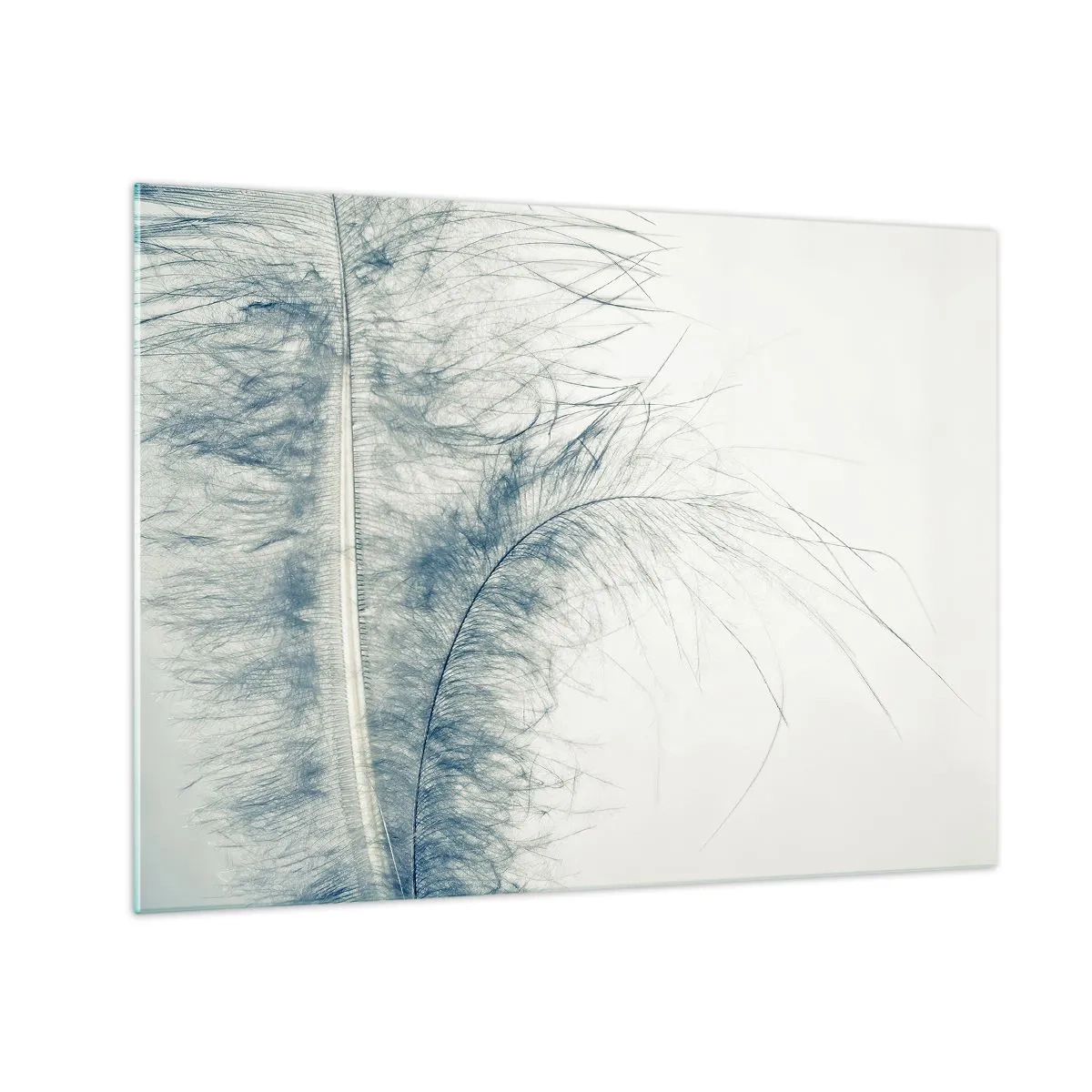 Glasbild - Bild auf glas - Eine zarte Feder auf hellem Hintergrund im minimalistischen Stil - 70x50cm - Flüstern der Natur - Moderne Wanddekoration für Wohnzimmer und Schlafzimmer ARTTOR