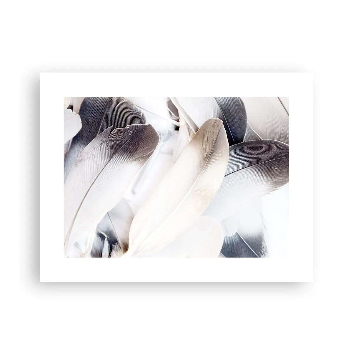 Poster - Fast engelhaft - 40x30 cm