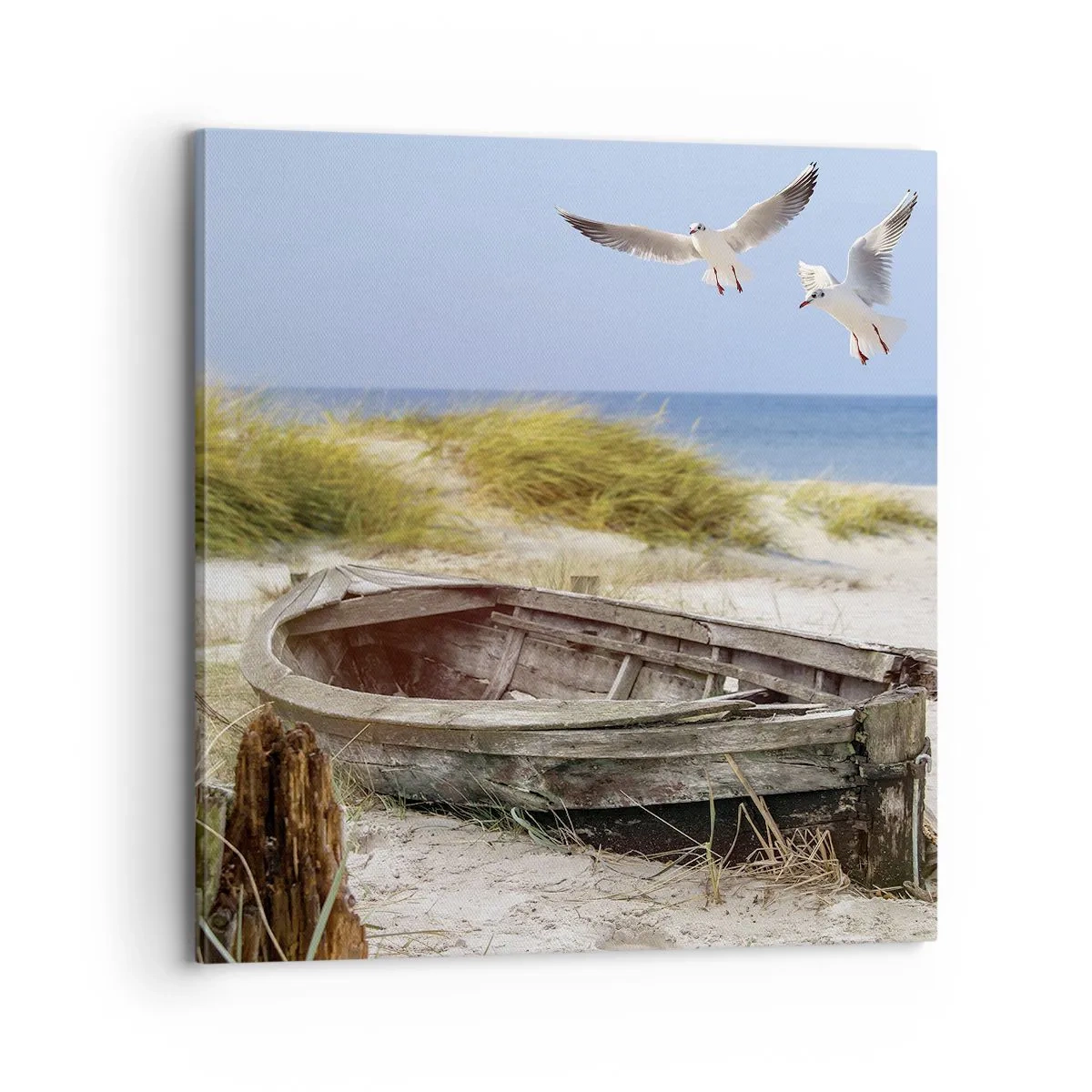 Bild auf Leinwand - Leinwandbild - In Wind gebadet - 70x70 cm