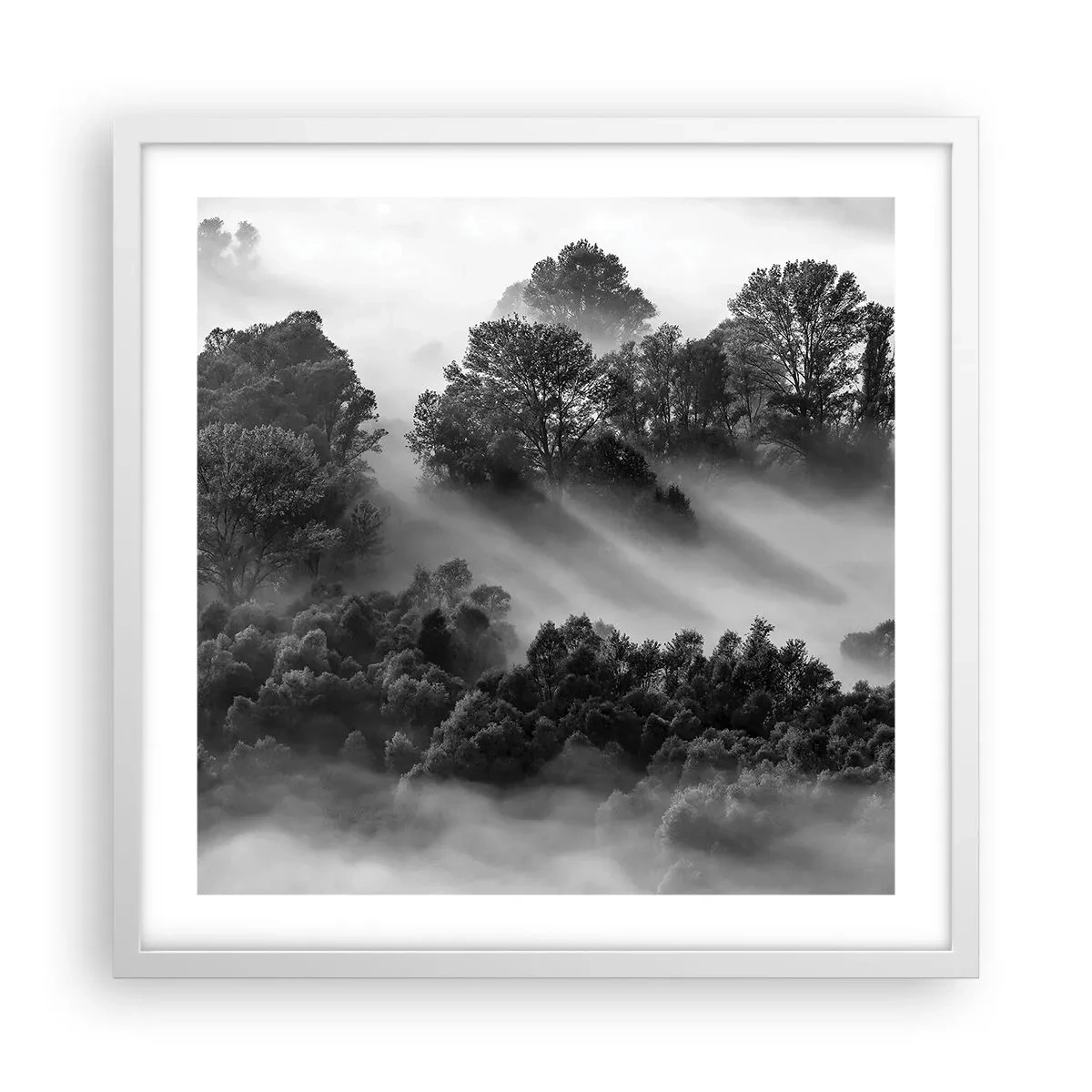 Poster in einem weißen Rahmen - Aufstehend aus dem Schlaf - 50x50 cm