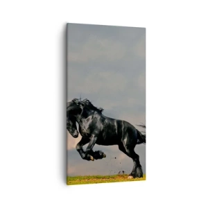 Bild auf Leinwand - Leinwandbild - Schön und frei - 55x100 cm