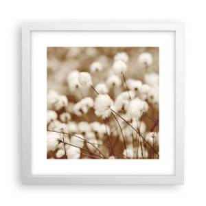 Poster in einem weißen Rahmen - Flauschiges Kornfeld - 30x30 cm