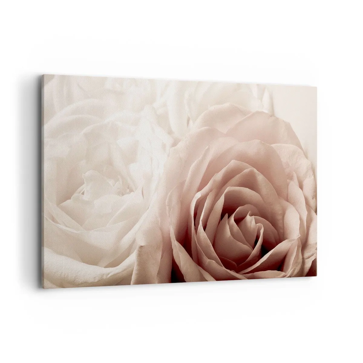 Bild auf Leinwand - Leinwandbild - Zarte Rosen in pastelligen Beigetönen - 120x80cm - Im Herzen der Rose - Moderne Wanddekoration für Wohnzimmer und Schlafzimmer ARTTOR