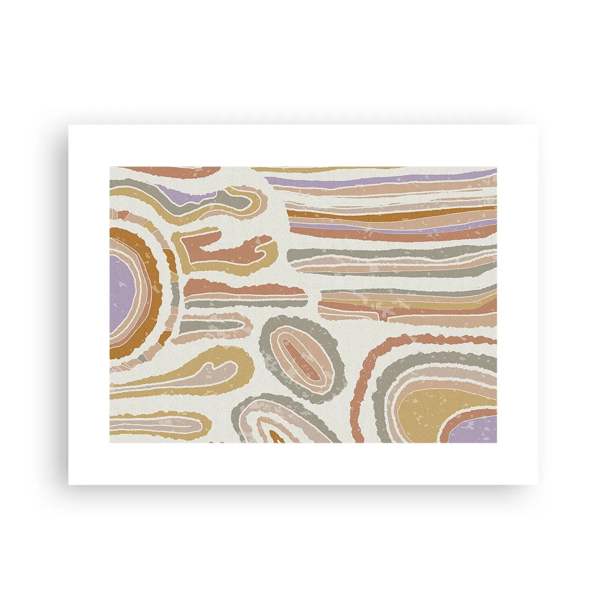 Poster - Bunte Querschnitte - 40x30 cm