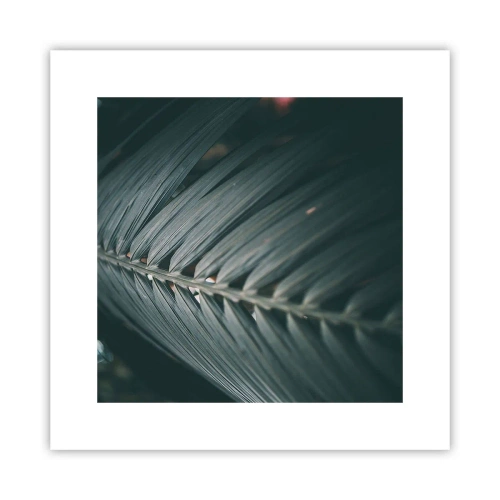 Poster - Die Präzision der Natur - 30x30 cm