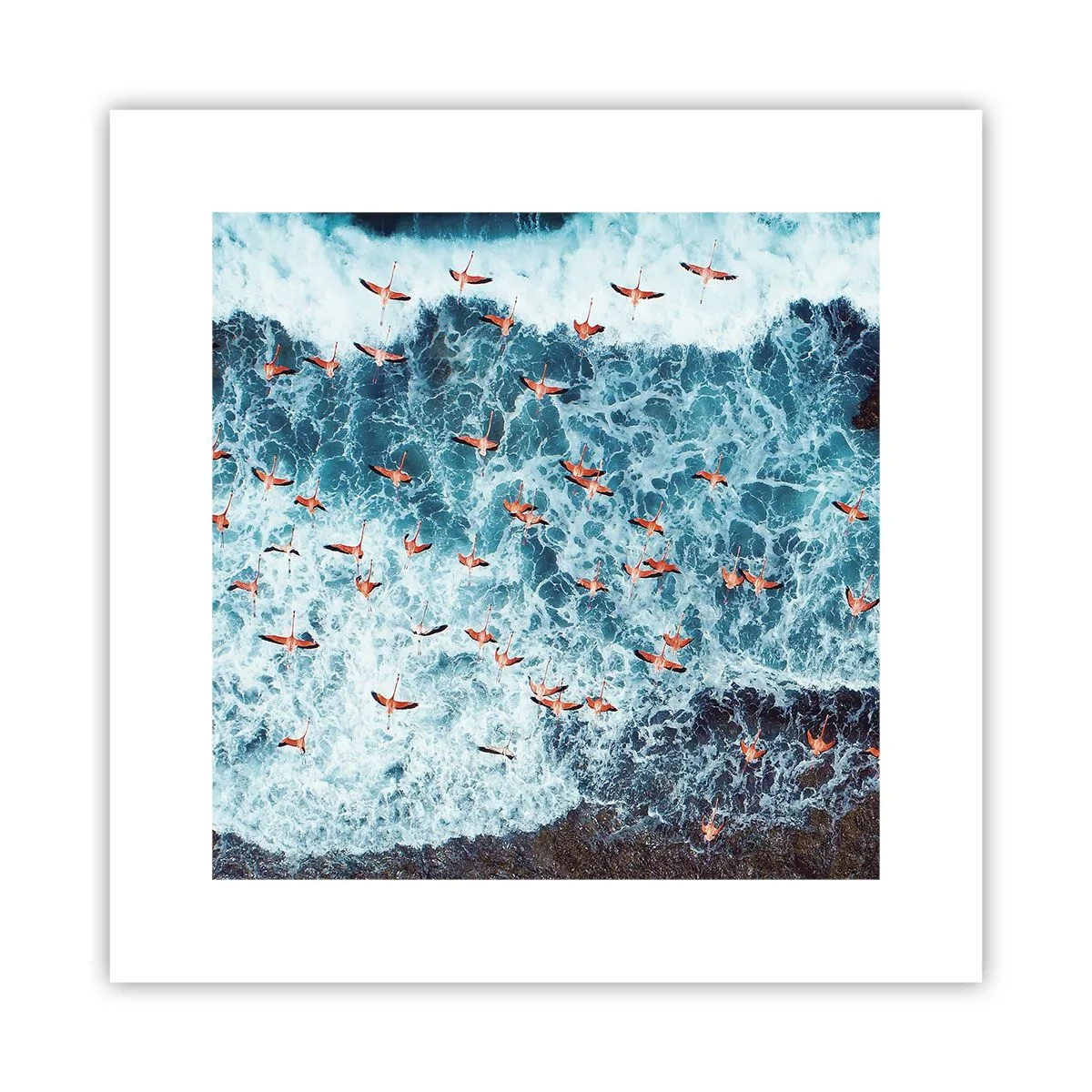 Poster - Die Küstenparade - 30x30 cm