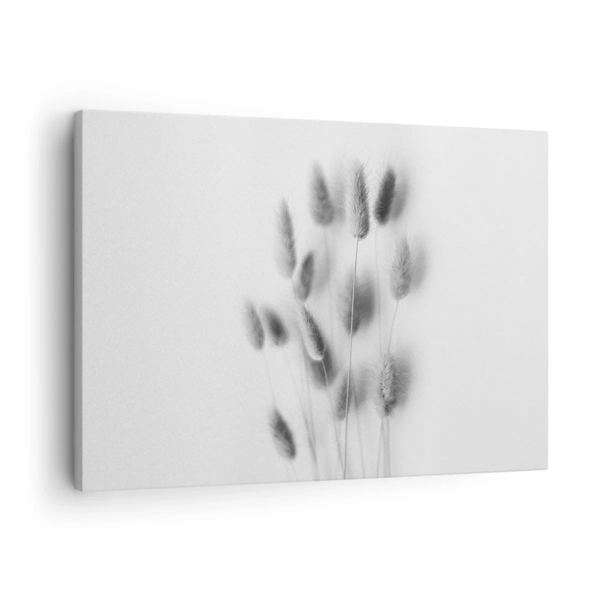 Bild auf Leinwand - Leinwandbild - Zarte Gräser in Grautönen auf weißem Hintergrund - 70x50cm - Eure flauschige Grashoheit - Moderne Wanddekoration für Wohnzimmer und Schlafzimmer ARTTOR