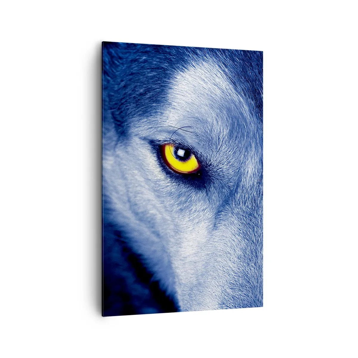 Bild auf Leinwand - Leinwandbild - Nahaufnahme des intensiven Blicks eines Wolfes vor dunklem Hintergrund - 80x120cm - Faszinierender Blick - Moderne Wanddekoration für Wohnzimmer und Schlafzimmer ARTTOR