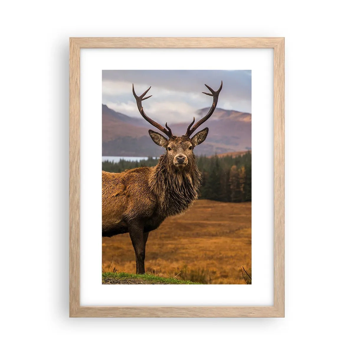 Poster in einem Rahmen aus heller Eiche - Die Majestät der Natur - 30x40 cm