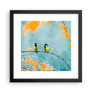 Poster in einem schwarzem Rahmen - Vogelklatsch - 30x30 cm