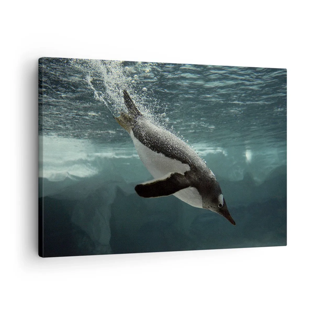 Bild auf Leinwand - Leinwandbild - Ein Pinguin taucht in die Tiefen des eisigen Wassers - 70x50cm - Willkommen in meiner Welt - Moderne Wanddekoration für Wohnzimmer und Schlafzimmer ARTTOR