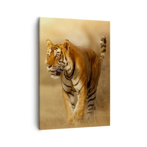 Bild auf Leinwand - Leinwandbild - Ein Tiger, der in warmen Farben durch die Savanne läuft - 50x70cm - Vor dem Angriff - Moderne Wanddekoration für Wohnzimmer und Schlafzimmer ARTTOR