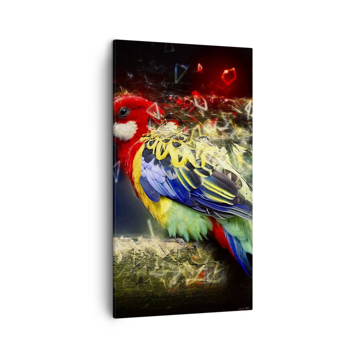 Bild auf Leinwand - Leinwandbild - Botschafter des Strahlens - 45x80 cm