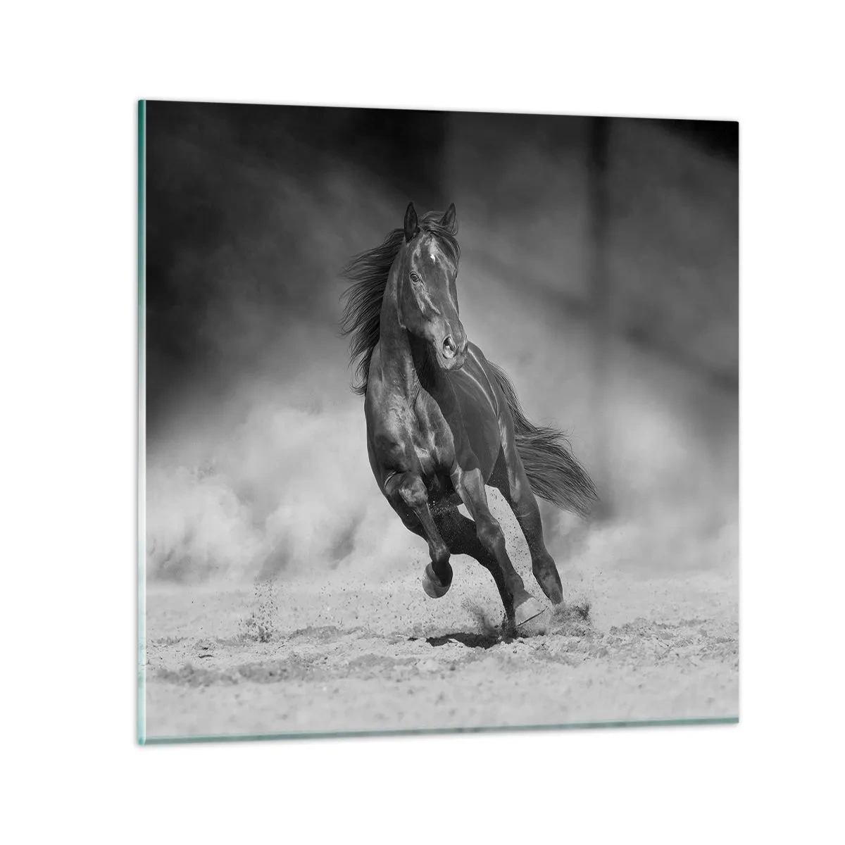 Glasbild - Bild auf glas - Würdig des Emirs selbst - 30x30 cm