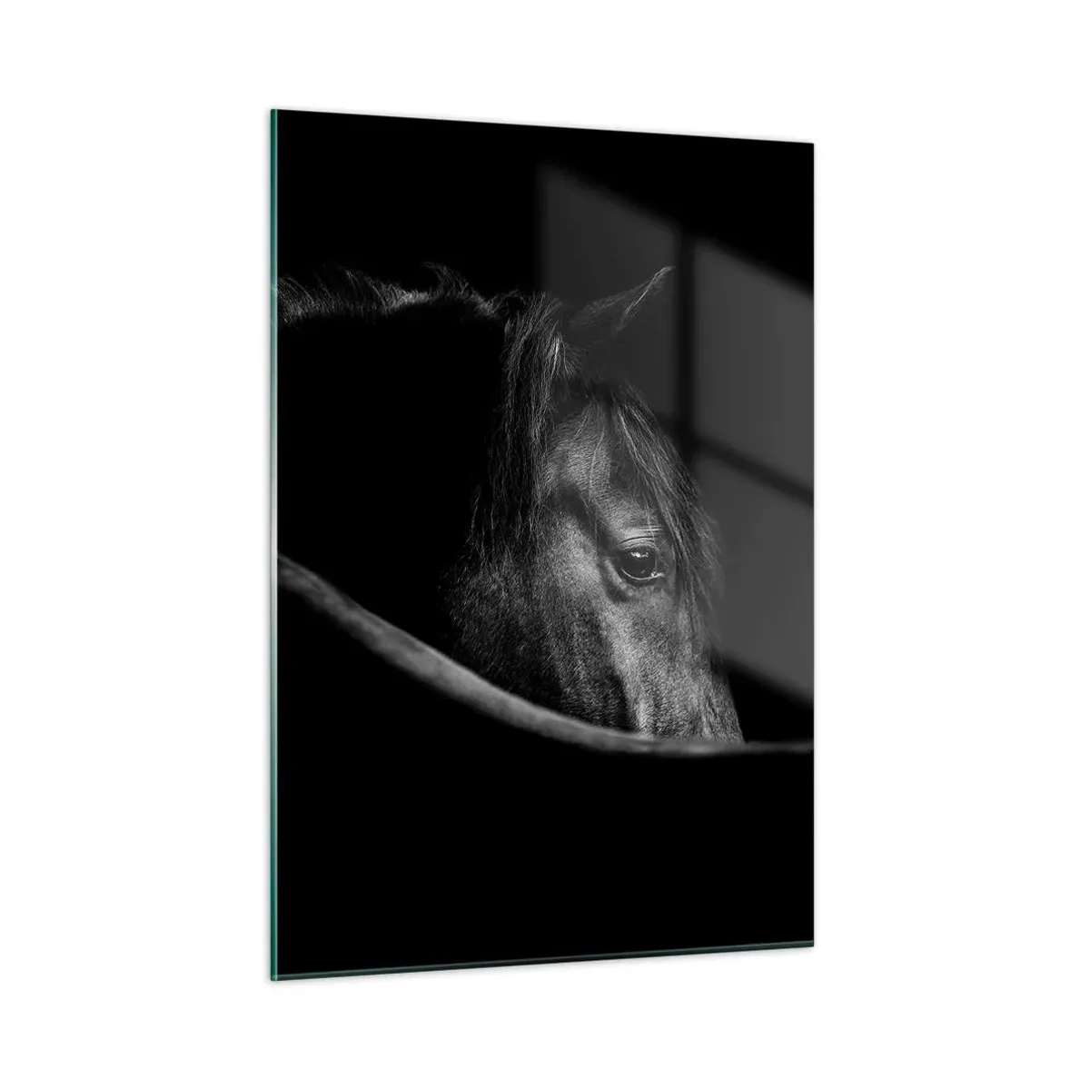 Glasbild - Bild auf glas - Profil eines schwarzen Pferdes im Schatten mit einem sichtbaren Auge - 50x70cm - Schwarzer Prinz - Moderne Wanddekoration für Wohnzimmer und Schlafzimmer ARTTOR