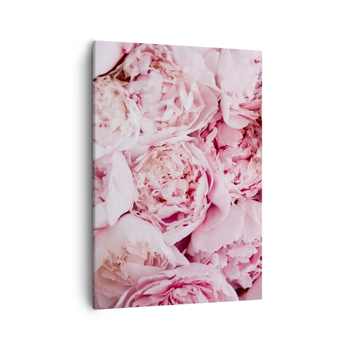 Bild auf Leinwand - Leinwandbild - Eine Nahaufnahme eines Straußes rosa Pfingstrosen - 50x70cm - Anschmiegsam und duftend - Moderne Wanddekoration für Wohnzimmer und Schlafzimmer ARTTOR