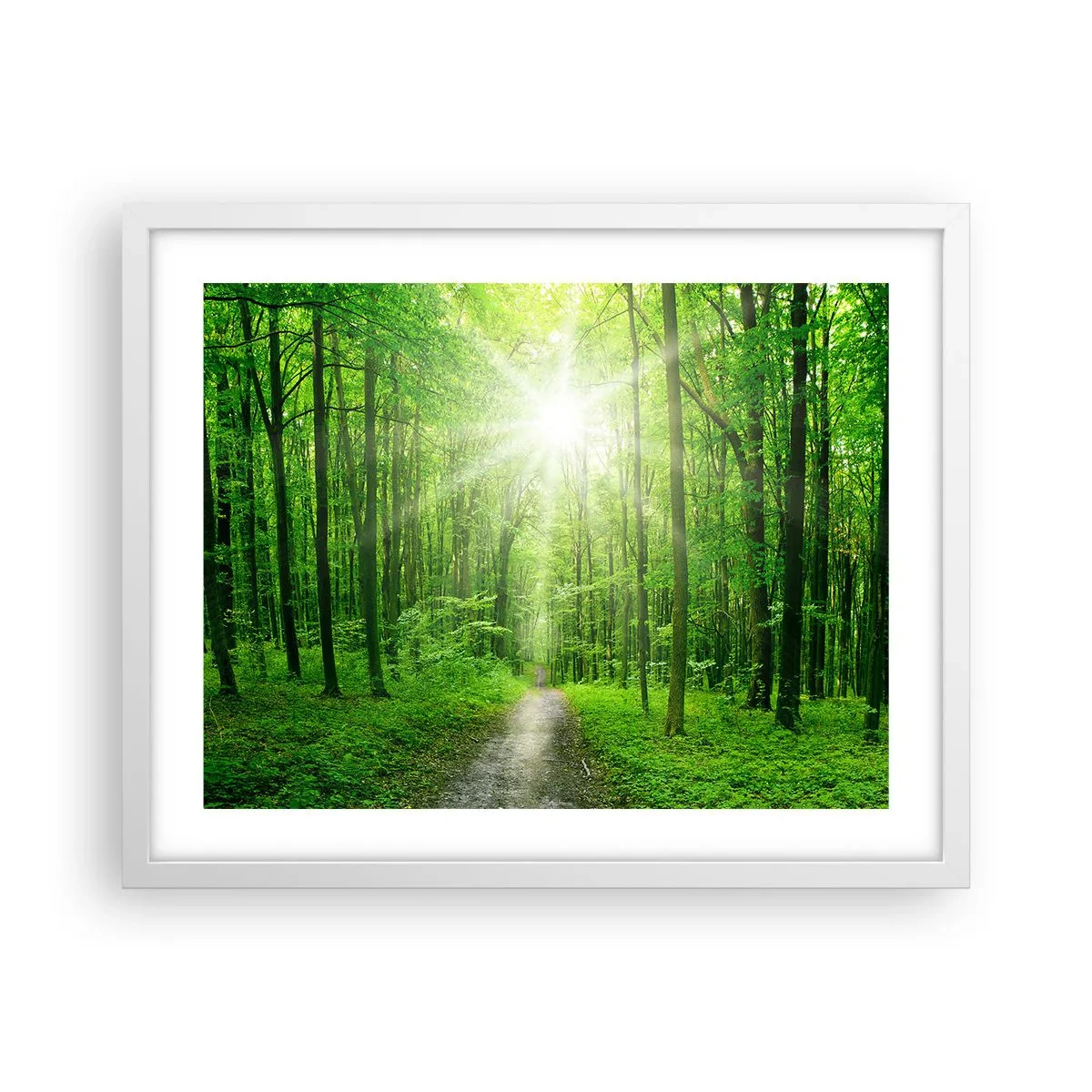 Poster in einem weißen Rahmen - Die grüne Kathedrale - 50x40 cm
