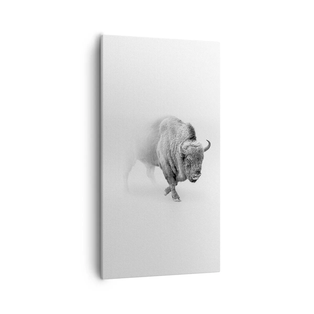 Bild auf Leinwand - Leinwandbild - König der Prärie - 55x100 cm