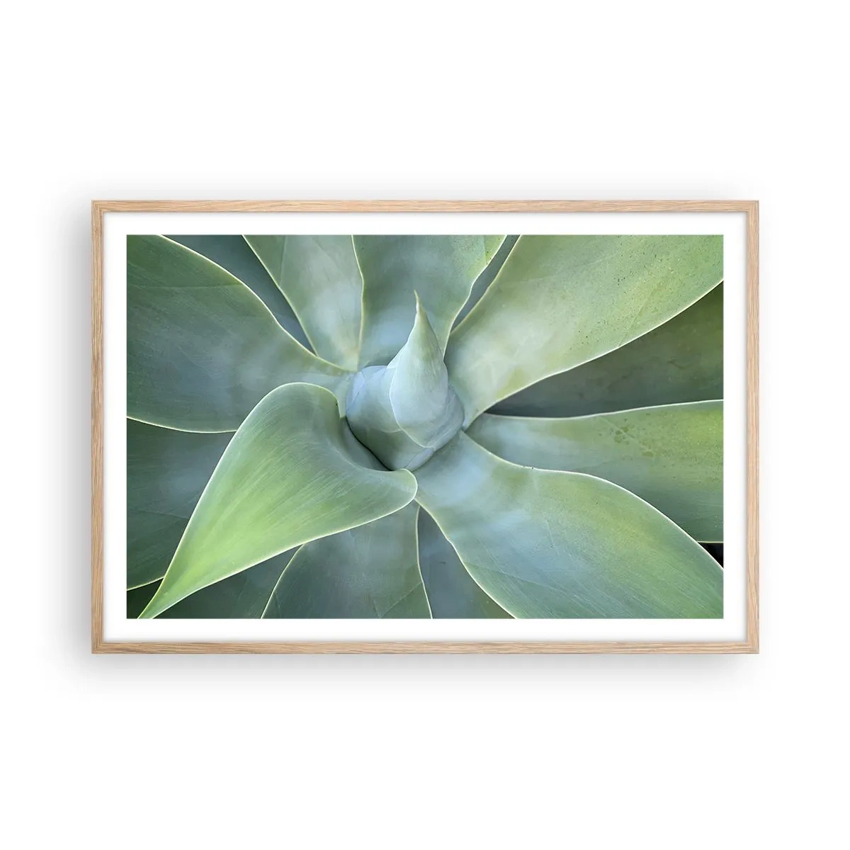 Poster in einem Rahmen aus heller Eiche - Geburt des Grüns - 91x61 cm