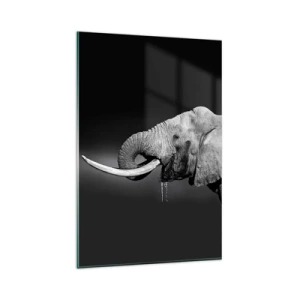 Glasbild - Bild auf glas - Schwarz-Weiß-Porträt eines Elefanten im Profil - 80x120cm - Ja, gut jetzt - Moderne Wanddekoration für Wohnzimmer und Schlafzimmer ARTTOR