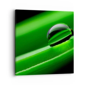 Bild auf Leinwand - Leinwandbild - Leben hautnah - 40x40 cm