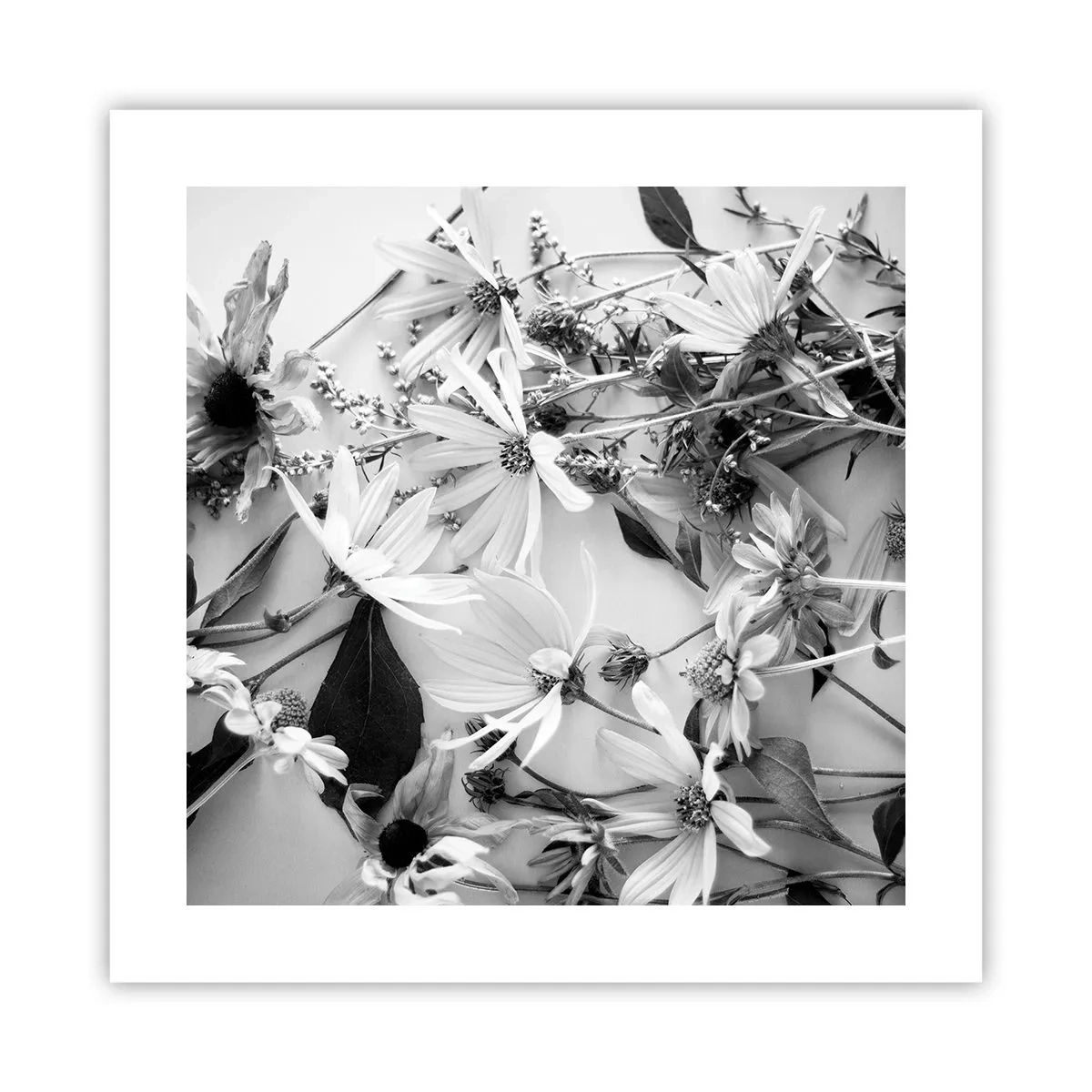 Poster - Kein Blumenstrauß - 40x40 cm