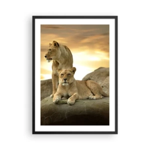Poster in einem schwarzem Rahmen - Zwei Löwinnen vor der untergehenden Sonne - 50x70cm - Königliche Majestät - Moderne Wanddekoration für Wohnzimmer und Schlafzimmer ARTTOR