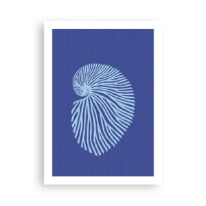 Poster - Stilisierte Muschelgrafiken in spiralförmiger Anordnung - 50x70cm - Geburt der Muschel - Moderne Wanddekoration für Wohnzimmer und Schlafzimmer ARTTOR