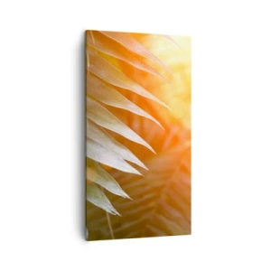 Bild auf Leinwand - Leinwandbild - Morgen im Dschungel - 45x80 cm
