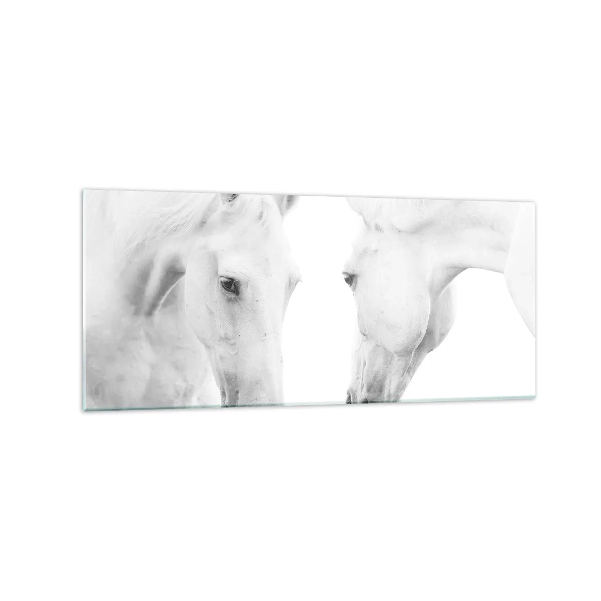 Glasbild - Bild auf glas - Ein minimalistisches Porträt zweier weißer Pferde - 120x50cm - Ist das Freundschaft...? - Moderne Wanddekoration für Wohnzimmer und Schlafzimmer ARTTOR