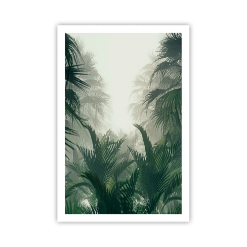 Poster - Tropisches Geheimnis - 61x91 cm