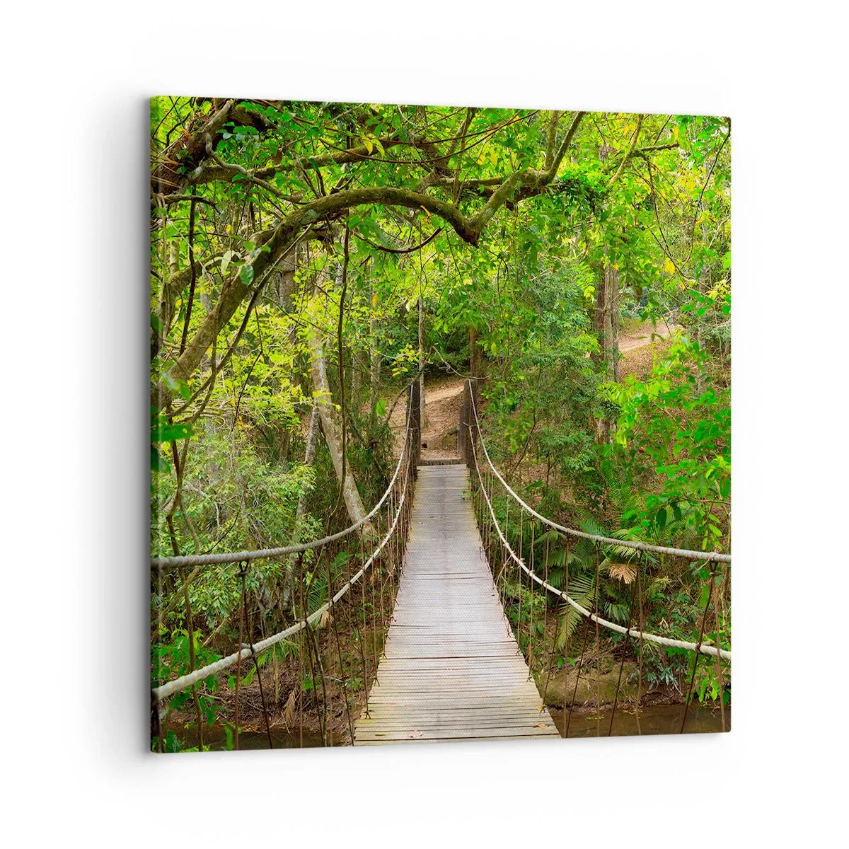 Bild auf Leinwand - Leinwandbild - Denn im Garten gibt es eine Schlingpflanze - 60x60 cm