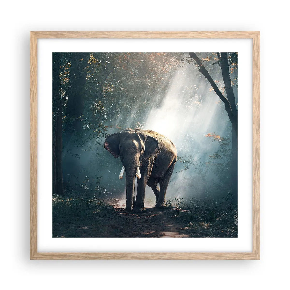 Poster in einem Rahmen aus heller Eiche - Ein gemütlicher Spaziergang - 50x50 cm