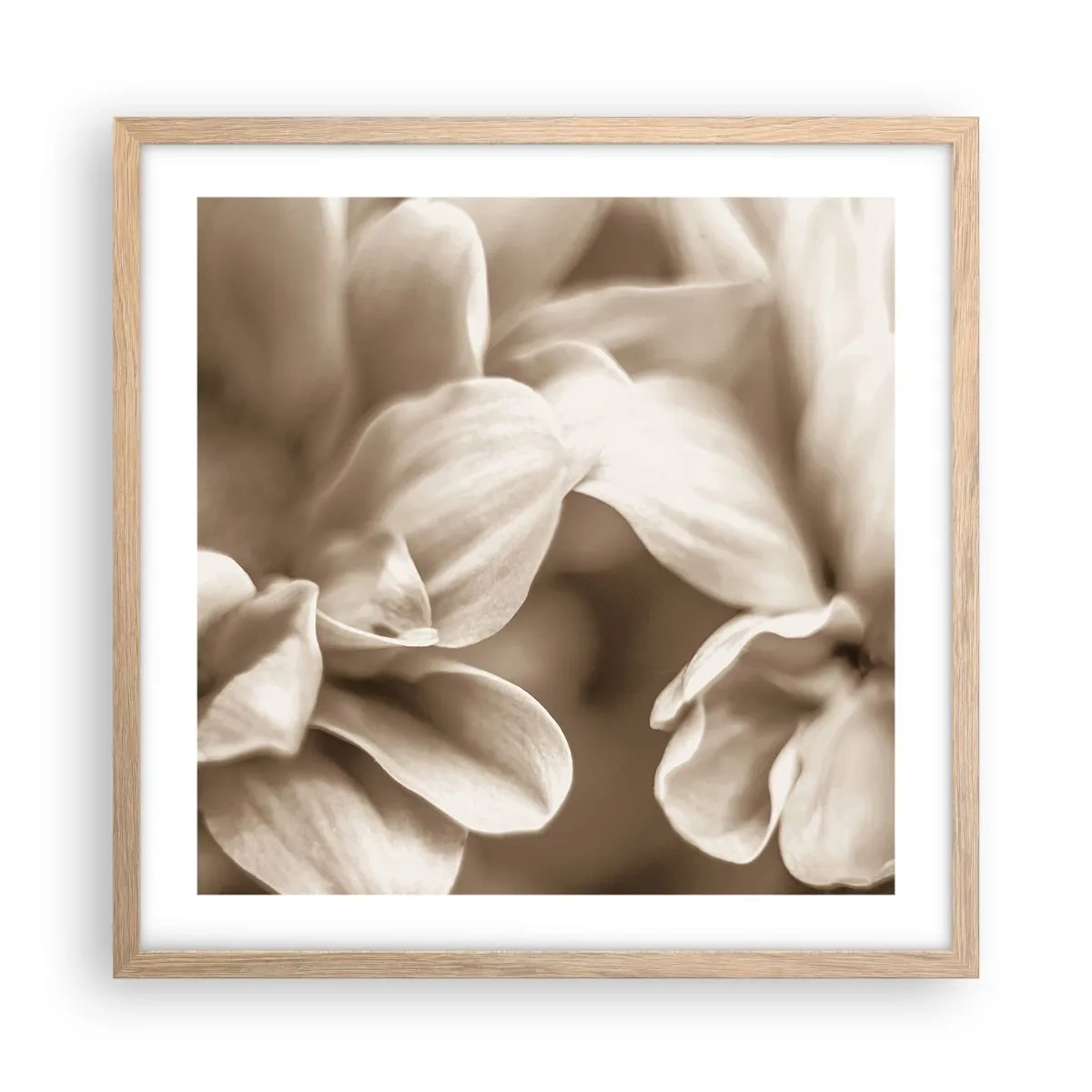 Poster in einem Rahmen aus heller Eiche - So sanft wie ein Lächeln - 50x50 cm