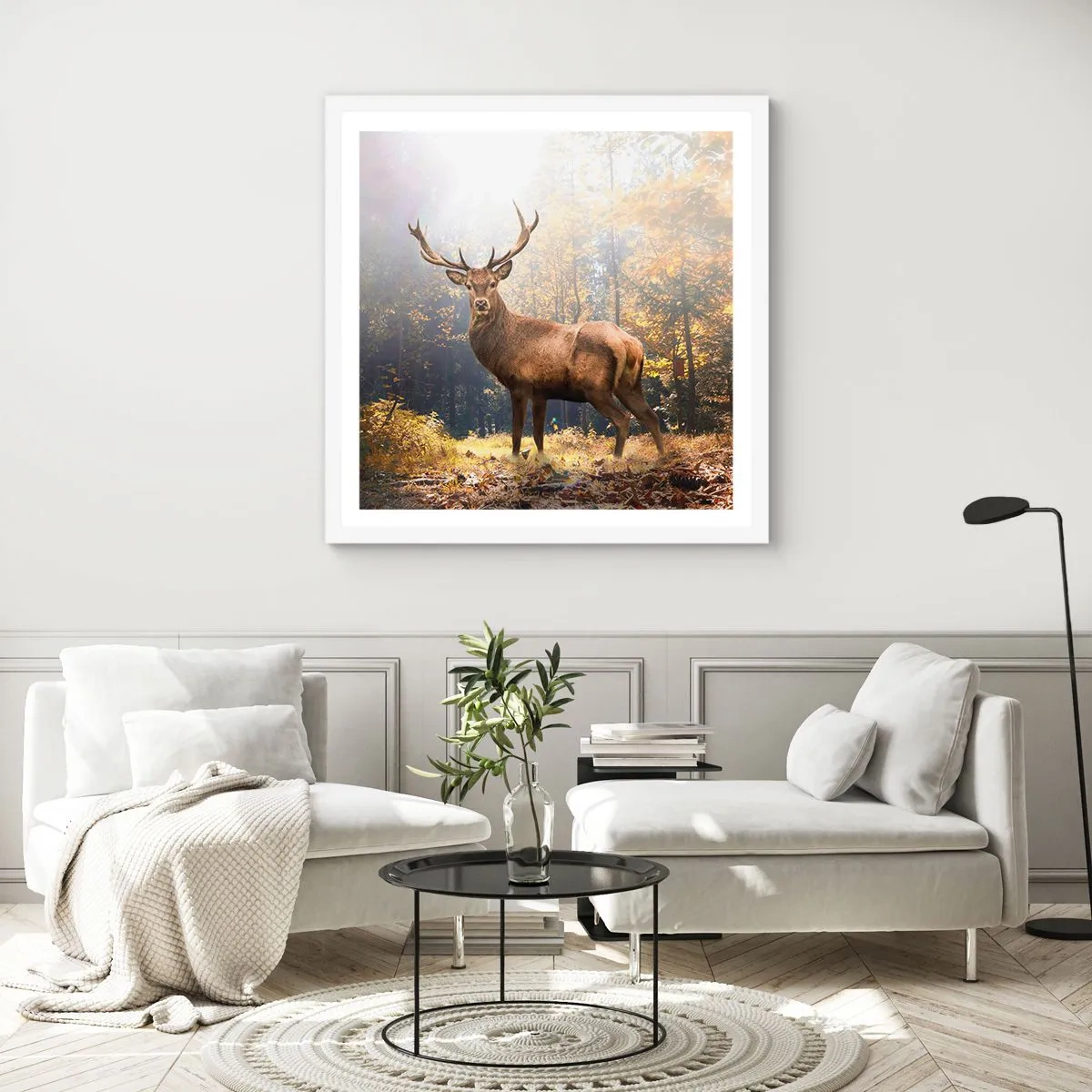 Poster in einem weißen Rahmen - In voller Majestät - 60x60 cm