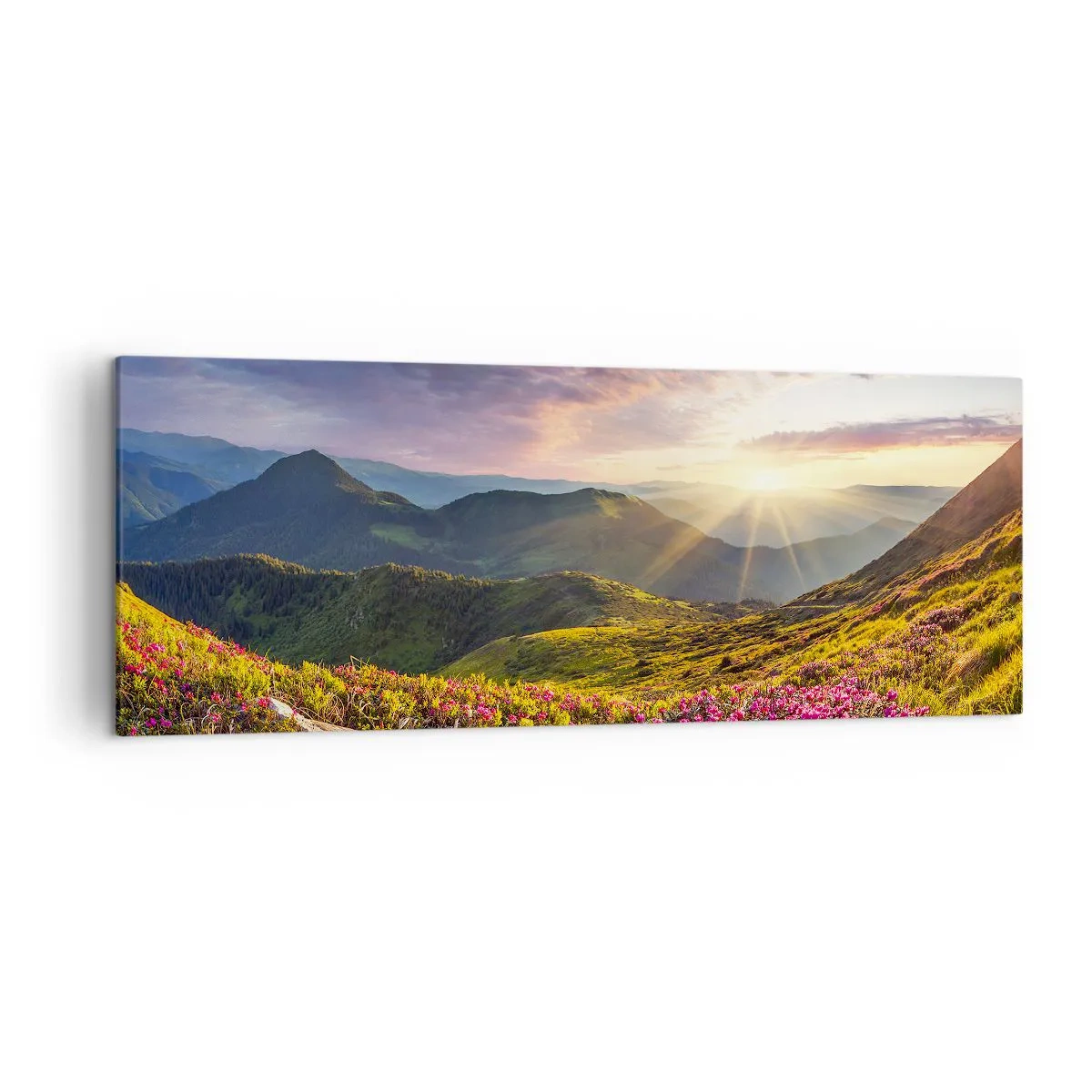 Bild auf Leinwand - Leinwandbild - Berglandschaft mit blühenden Rhododendren - 140x50cm - Frische am Bergmorgen - Moderne Wanddekoration für Wohnzimmer und Schlafzimmer ARTTOR