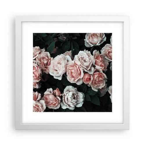 Poster in einem weißen Rahmen - Rosen-Ensemble - 30x30 cm