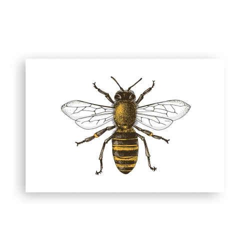 Poster - Schön und gut - 91x61 cm